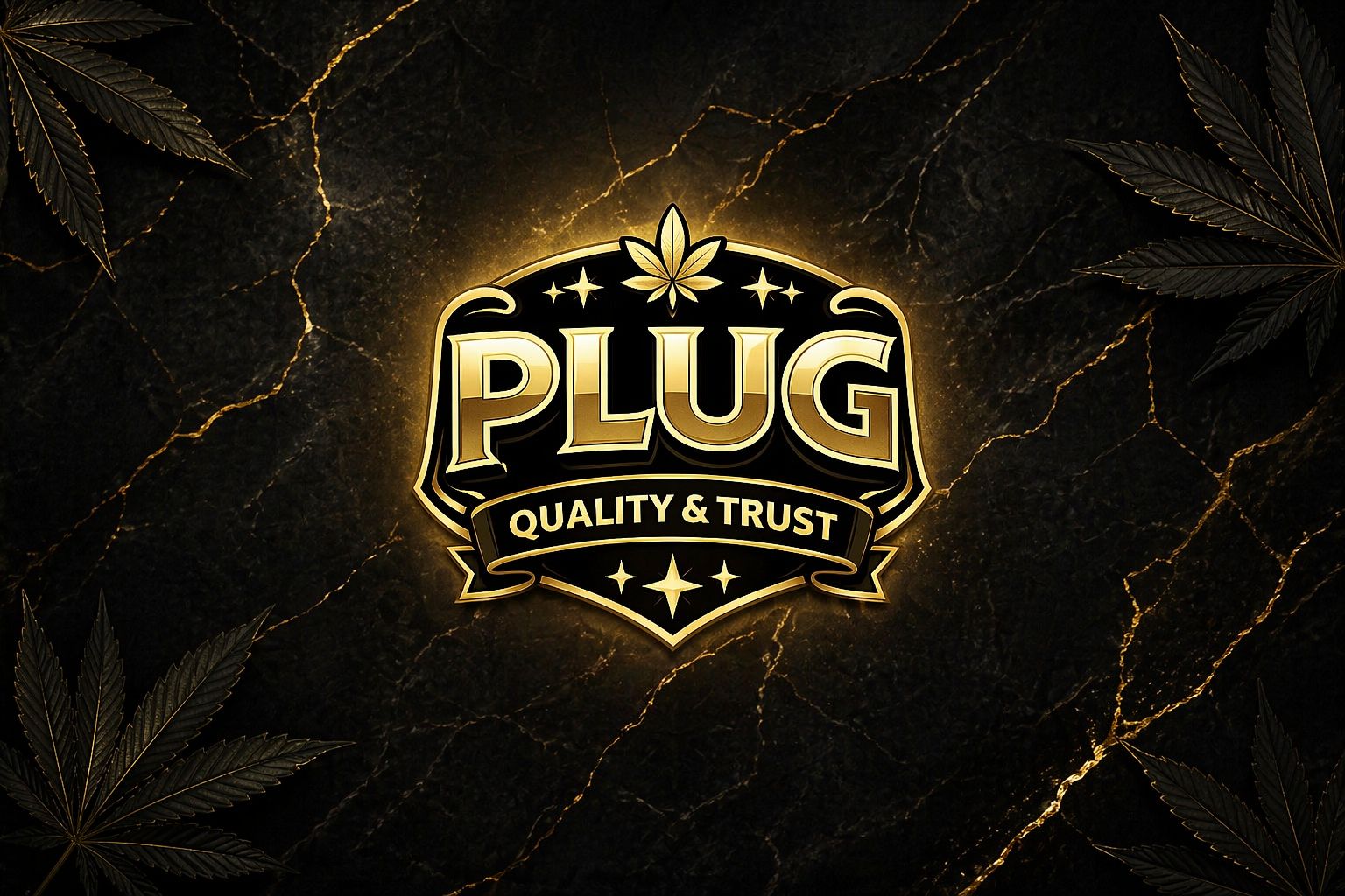 PLUG Logo
